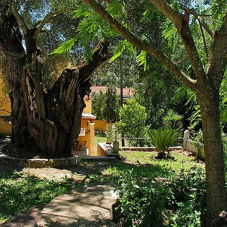 Apartment Maria - Roumanis